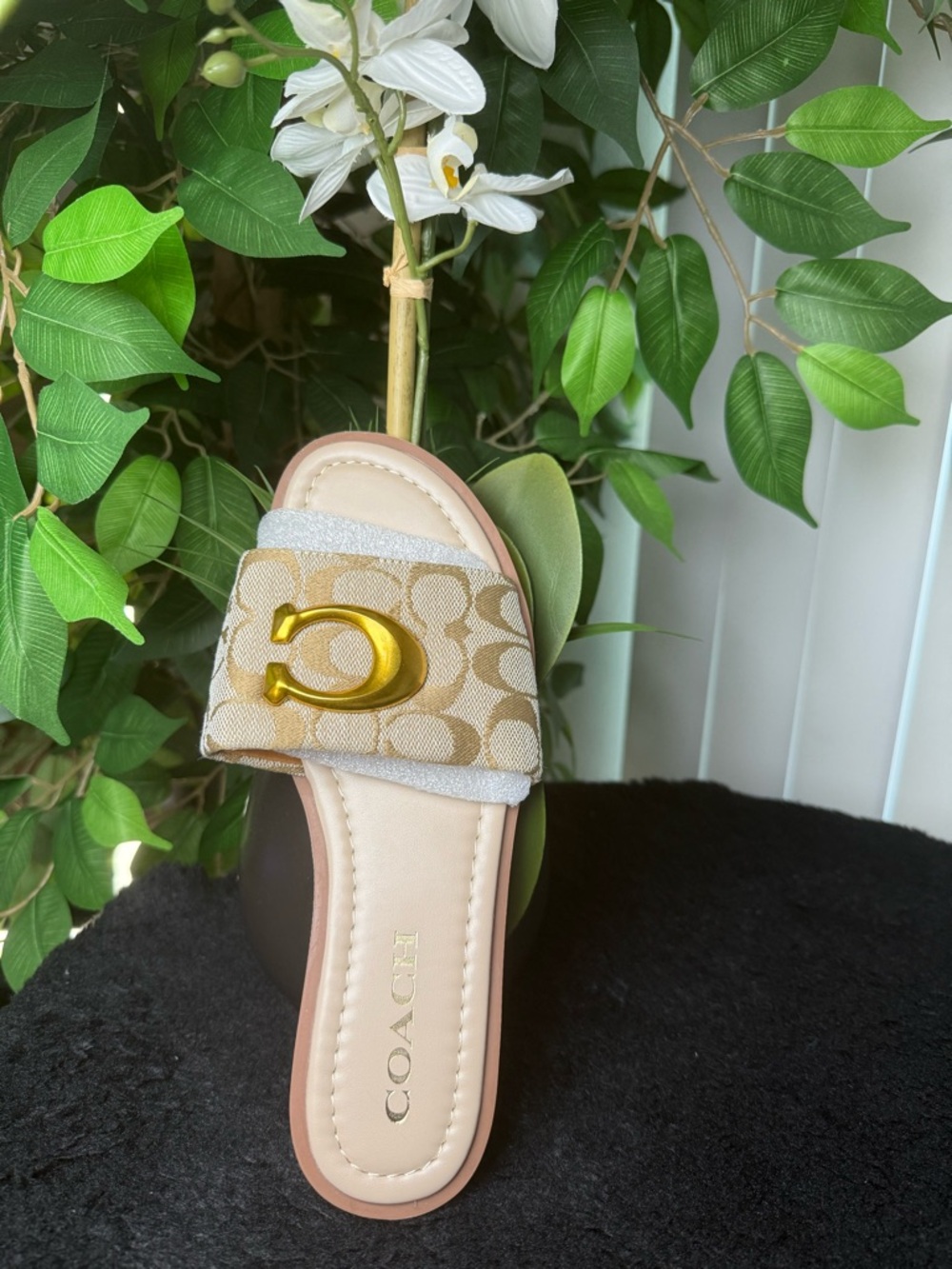 Beige Signature Canvas Slide with Gold Buckle